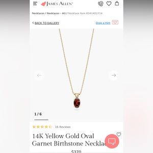 James Allen 14K gold garnet January birthstone necklace. Originally $370